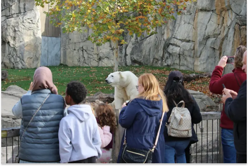 8 Ways on How Zoo Reservation Systems Cut Lines & Boost Fun